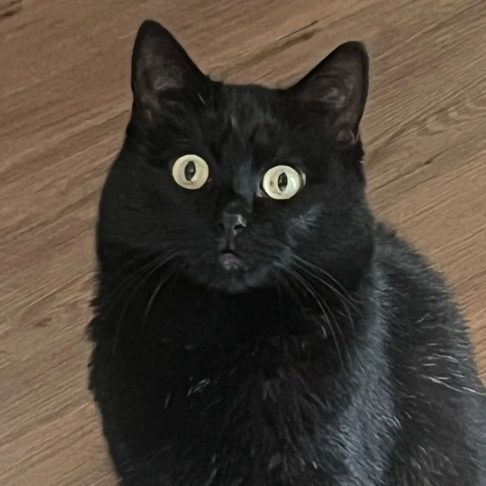 Urban Outfitters Jaya Baggy Jean size 28 - Picture 5 of 5